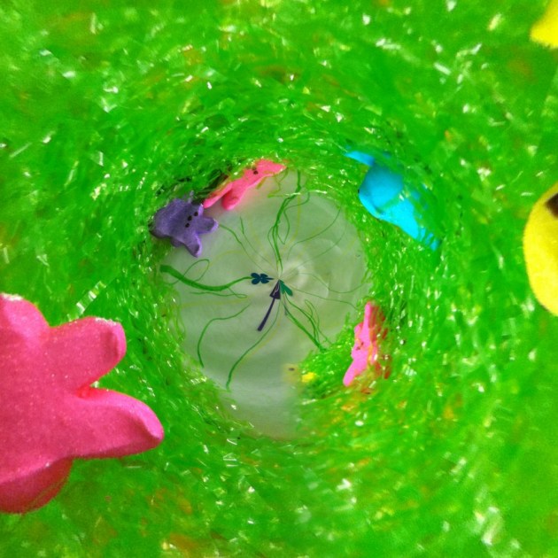 Easter Basket cyclone